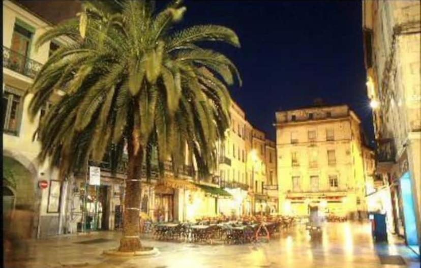 Studio Cosy Au Coeur De L'Ecusson - Arenes A 2 Min Nîmes Zewnętrze zdjęcie